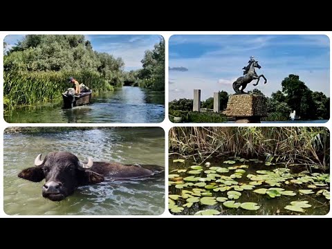 Видео: ВИЛКОВО. Экскурсия по Дунаю. 3 ЧАСА ВОСТОРГА! Ручные буйволы, дикие лилии...