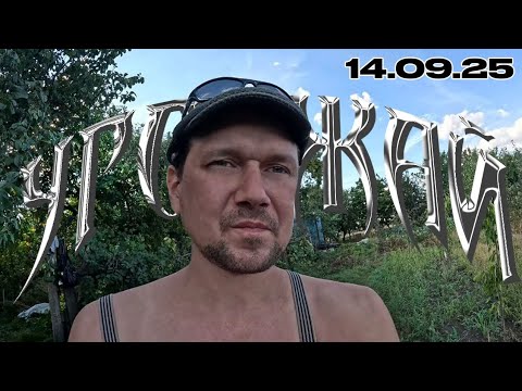 Видео: ОТец собирает урожай в деревне 14 09 25г