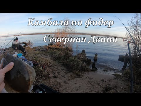 Видео: Камбала на фидер Северная Двина!