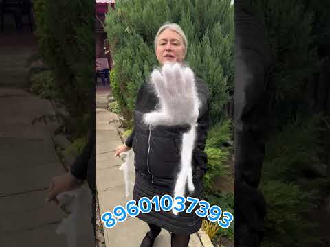Видео: 10 октября 2025 г.