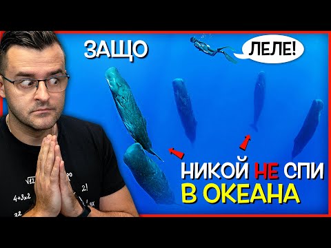 Видео: Ето защо НИКОЙ не СПИ в океана - Природата БЪГВА - 12 странни СЛУЧАЯ