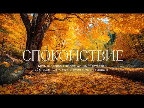 Видео: Самая красивая мелодия на свете!🍂 Осенняя расслабляющая музыка 🍁 Звуки природы для снятия стресса
