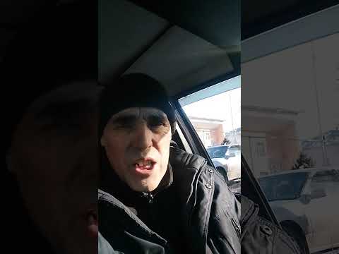 Видео: Шыңғыс Ханның Төре руы қайдан шықты?