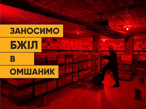 Видео: Заносимо бджіл в омшаник. Мала механізація.