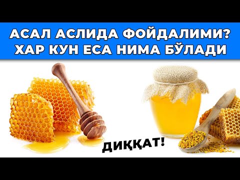 Видео: АСАЛНИ ХАР КУНИ ЕСА ОРГАНИЗМ БИЛАН НИМА СОДИР БЎЛАДИ? АСАЛ  ФОЙДАСИ ВА ЗАРАРИ!