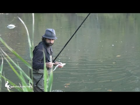 Видео: 🎣 Риболов на Вардар 1 🐟 #fishing #риболов  🦌🐟 #fishingmacedonia🐟
