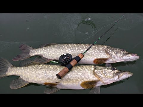 Видео: Ловля щуки на балансир. Зимняя рыбалка на реке 2019.