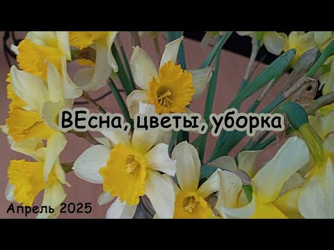 Видео: Весна, цветы, уборка апрель 2025