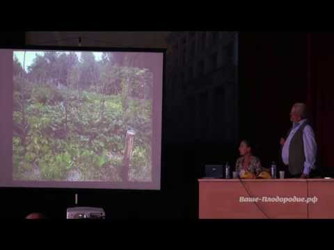 Видео: Конференция Хольцера в Уфе, часть 2