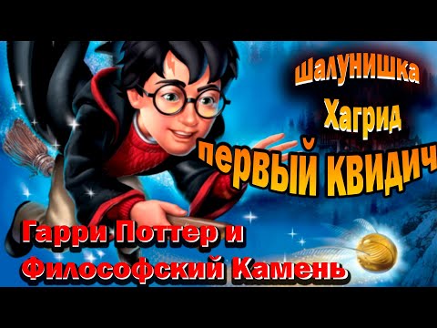 Видео: Гарри Поттер и Философский Камень. Первый квидич и Шалунишка Хагрид #3