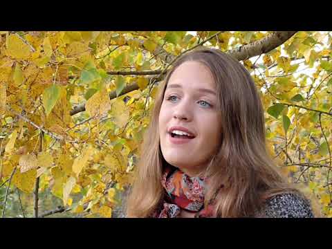 Видео: не жалею, не зову, не плачу....