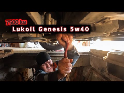 Видео: Замена масла Lukoil Genesis на Škoda Octavia A5. Стоит ли заливать?