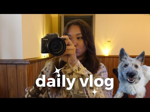 Видео: Daily Vlog | гүйдэг болов, тайван өдрүүд, манай нохой ээжтэйгээ уулзсан нь ✨