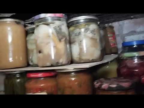 Видео: Будни егеря. 27.07.25. К зиме ❄️ готовы ✅.