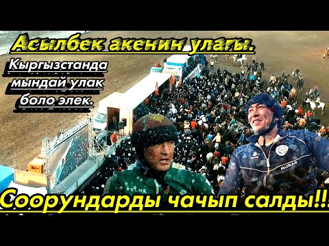 Видео: Аламан улак 70 төө 70 тай 70 торпок (Башталды)