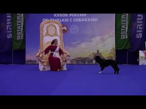 Видео: Ейбогина Людмила и Бордер колли LETS JUST DO IT - Мастер Фристайл