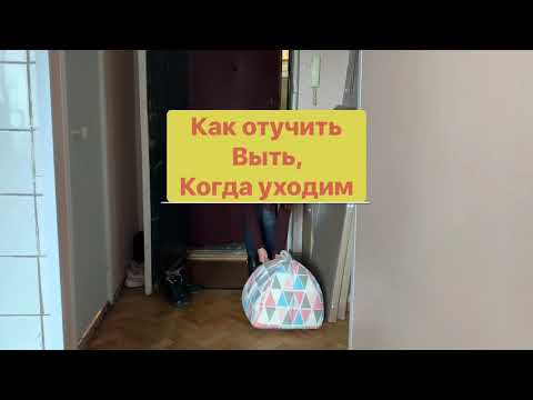 Видео: Как отучить собаку выть и лаять,когда уходим?С Вами кинолог Наталья Севостьянова