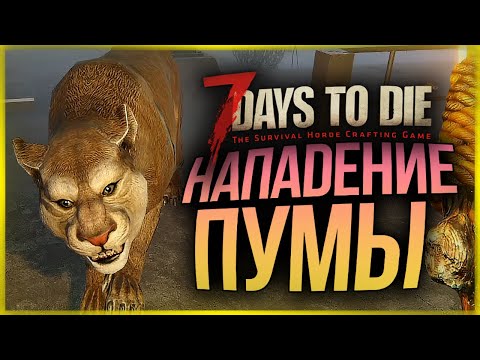 Видео: ALPHA 19. НАПАДЕНИЕ ГОЛОДНОЙ ПУМЫ! ● 7 Days to Die #19