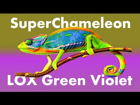 Видео: Силиконовые приманки цвет Super Chameleon LOХ  Green Violet