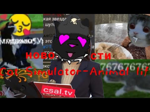 Видео: новости Cat Simulator-Animal life                    ЛООООООЛ Х)