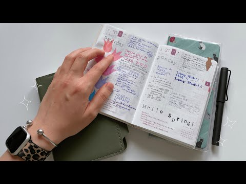 Видео: Изменения в моей системе планирования | planmarzipan