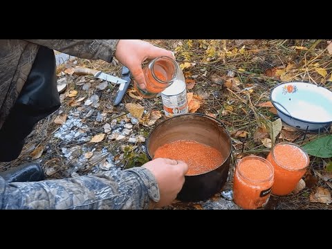 Видео: Рыбалка и охота на лесной речке. Красная икра. Ловим семгу.