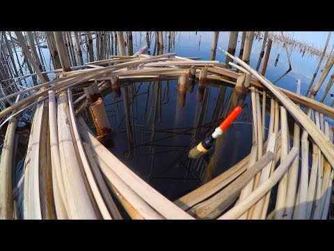 Видео: ВСЁ!!! КАРАСЬ ПОПЁР!!! Ловля карася в ОКНАХ КАМЫША