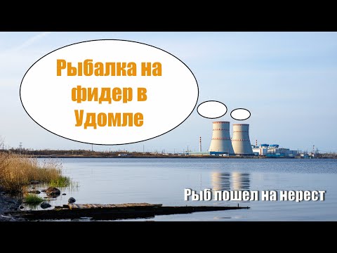 Видео: Рыбалка на фидер в Удомле. Апрель. Рыба пошла на нерест