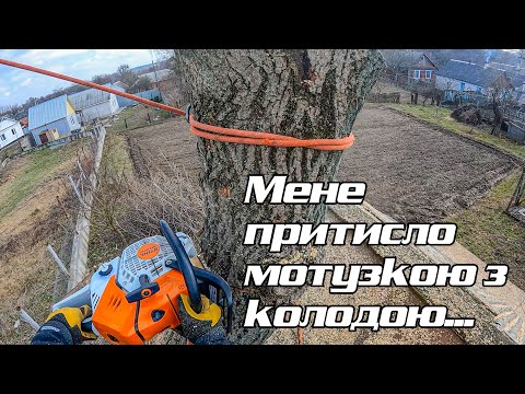 Видео: Нескінченний смердючий горіх