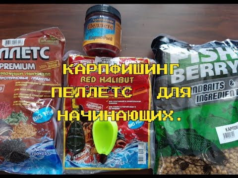 Видео: Карпфишинг. Пеллетс для начинаюших. #карпфишинг #рыбалка #пеллетс