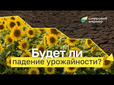 Видео: Что происходит с агробизнесом в 2024 году? / СЕЕМ И БОИМСЯ