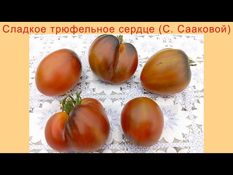 Видео: Обзор томатов 2025: Сладкое трюфельное сердце (С. Сааковой)