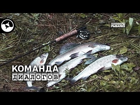 Видео: Нахлыст. Ловим хариуса на Урале | Классика