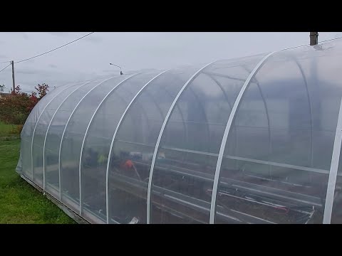 Видео: Плёнка "Светлица ".Первый сезон-результат? Может  всё- таки  лучше  поликарбонат?