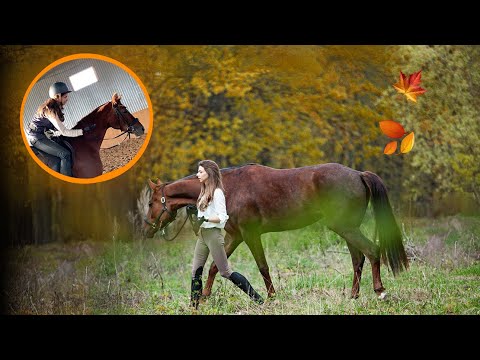 Видео: ЗАЕЗДКА ЗАВЕРШЕНА! + Первая в жизни менка