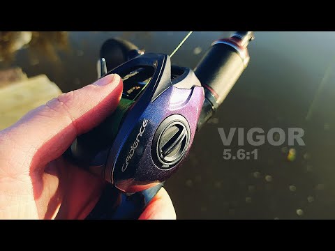 Видео: МУЛЬТИПЛИКАТОРНАЯ КАТУШКА CADENCE VIGOR 5.6 Испытания на воблерах в конце сезона  2024. КАСТИНГ