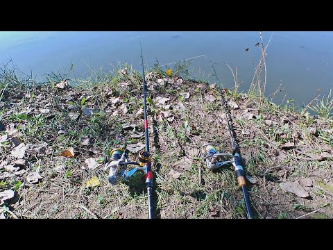 Видео: Такая рыбалка не для всех. Ловля с крутого берега Днестра голавлей и плотву на простую донку