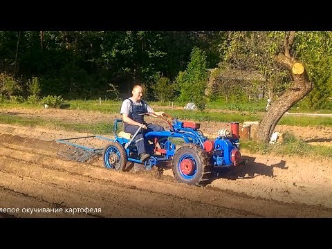 Видео: Слепое окучивание картофеля.