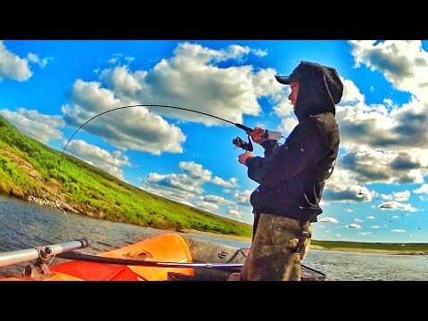 Видео: ВОДА КИПИТ ОТ РЫБЫ В ЭТОЙ РЕКЕ !! ЗАПОЛЯРНАЯ РЫБАЛКА !!!