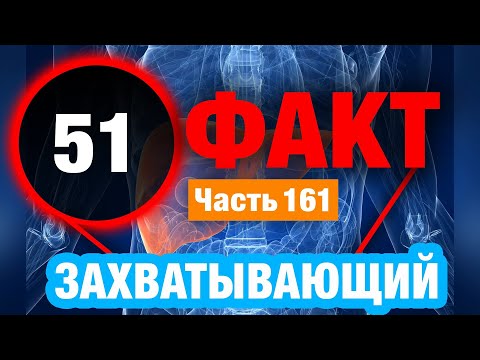 Видео: 51 Факт, Который Взорвет Вам Мозг
