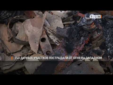 Видео: 150 дачных участков пострадали от огня на Западном