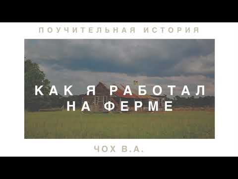 Видео: Как я работал на ферме | Смешной случай из жизни Чох В. А.