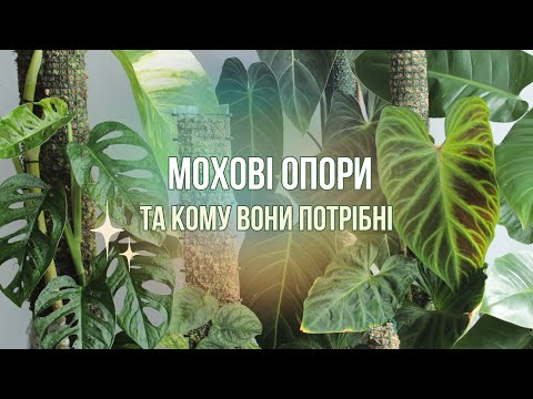 Видео: УСЕ З МОГО ДОСВІДУ ПРО МОХОВІ ОПОРИ та для яких рослин вони потрібні