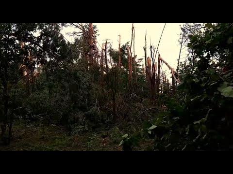 Видео: ураган на берестейщине, результат