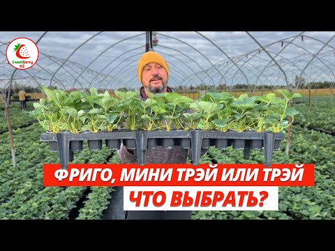 Видео: Фриго, трэй или мини трэй. Что выбрать? Почему мини трэй, иногда лучше чем трэй.