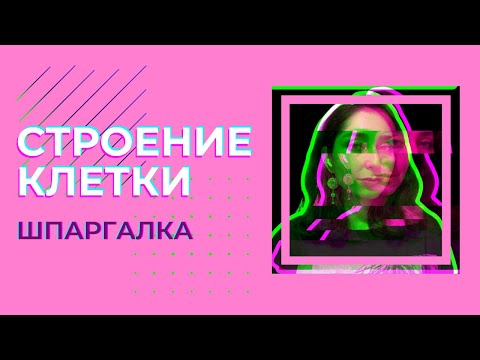 Видео: Строение клетки — шпаргалка. ЦТ, ЕГЭ, ЗНО