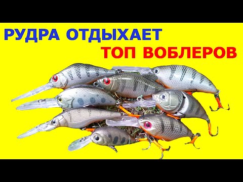 Видео: Топ воблеров под условия! Рудра не наш воблер, в наш топ не попала! Лучшие воблеры на щуку и окуня