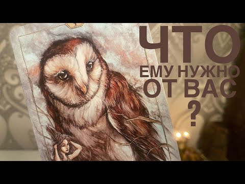 Видео: Что ему нужно от вас?