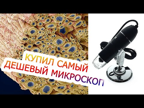 Видео: Купил самый дешевый цифровой микроскоп. Что из этого вышло?