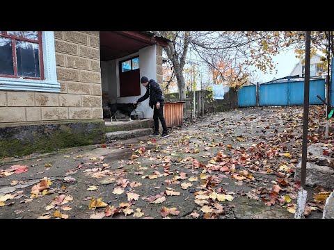 Видео: Если уверен - будет тебе помощь!